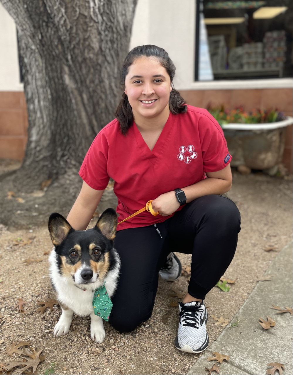 Veterinarians And Team In New Braunfels Veterinarians New Braunfels Tx