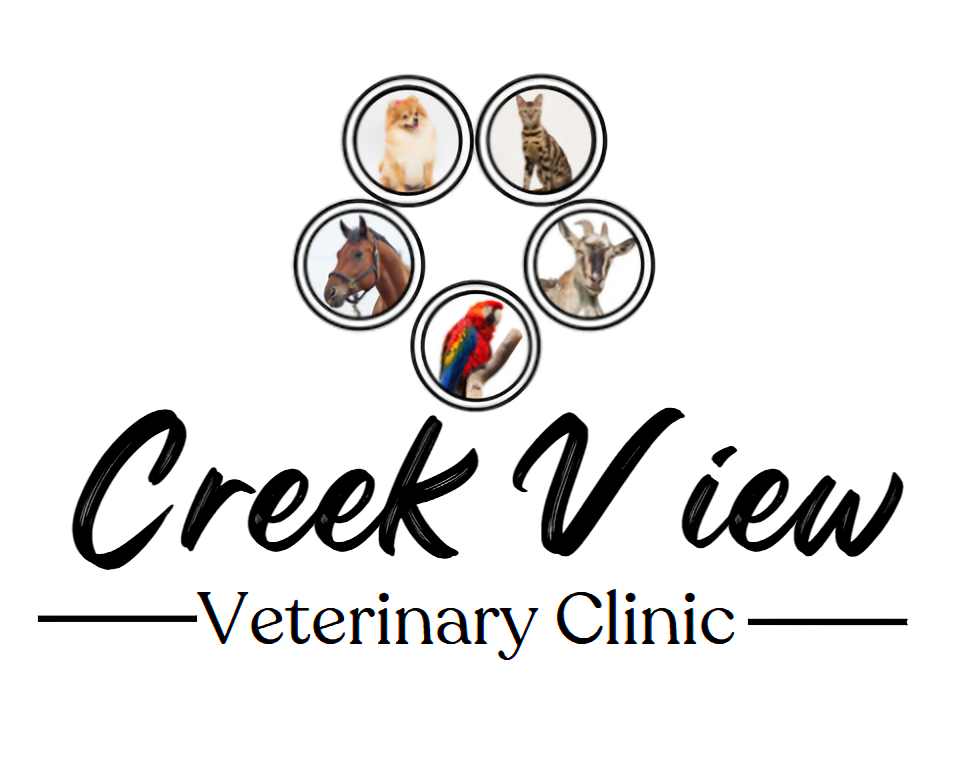 Creek View Veterinary Clinic